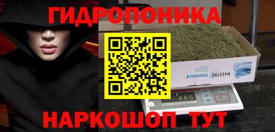 мяу мяу мука Бузулук