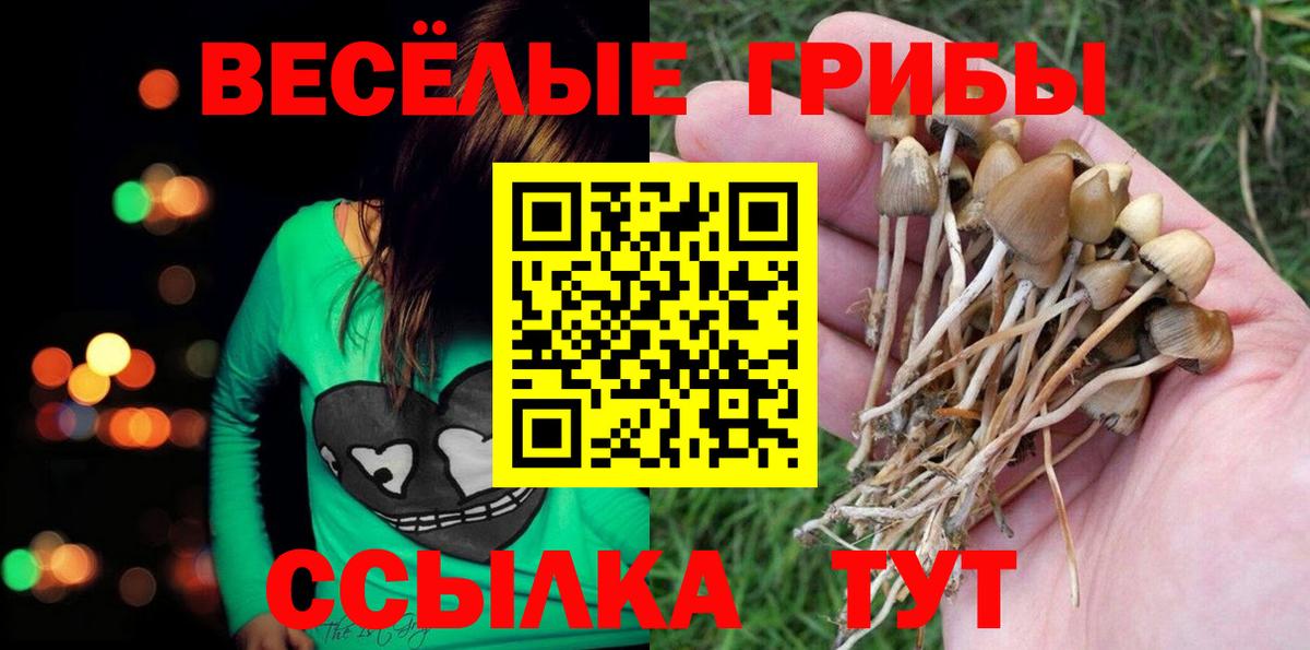 Псилоцибиновые грибы ЛСД  Вход с VPN  Тосно  Псилоцибиновые грибы мухоморы 