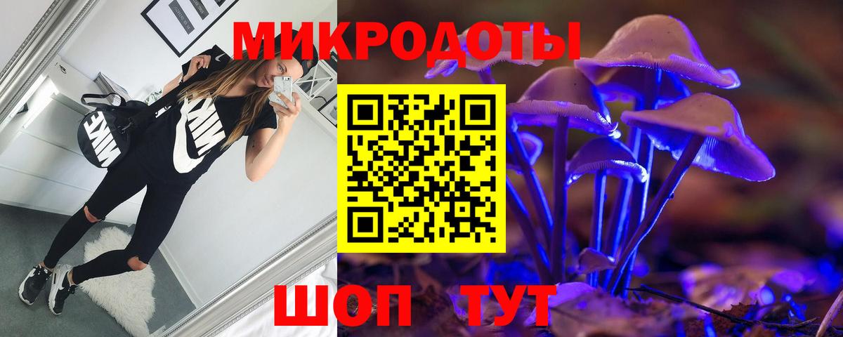 Псилоцибиновые грибы Psilocybe Тосно